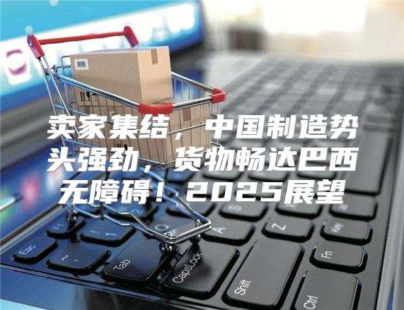 卖家集结，中国制造势头强劲，货物畅达巴西无障碍！2025展望