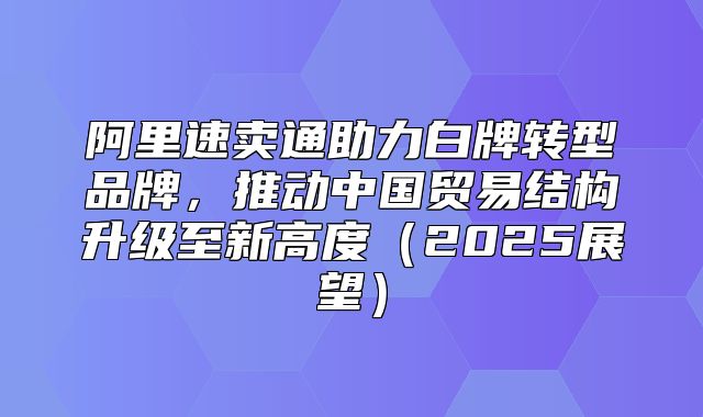 阿里速卖通助力白牌转型品牌，推动中国贸易结构升级至新高度2025展望