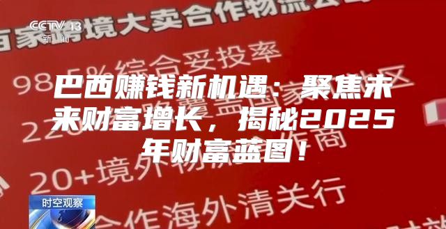 巴西赚钱新机遇：聚焦未来财富增长，揭秘2025年财富蓝图！