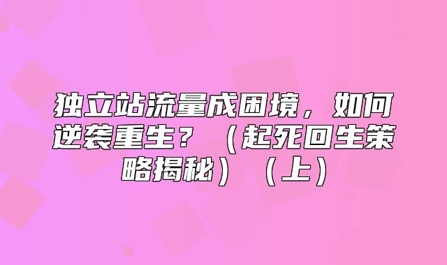独立站流量成困境，如何逆袭重生？起死回生策略揭秘上