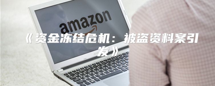 资金冻结危机：被盗资料案引发