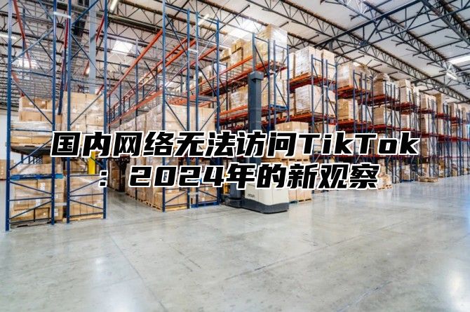 国内网络无法访问TikTok：2025年的新观察