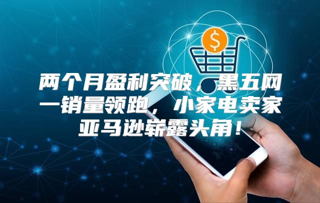 两个月盈利突破，黑五网一销量领跑，小家电卖家亚马逊崭露头角！