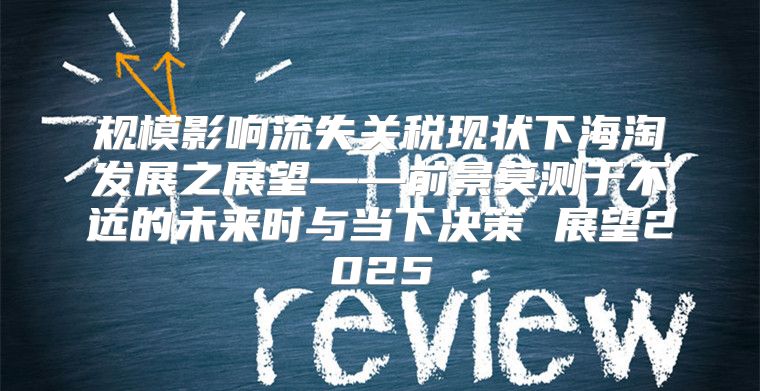 规模影响流失关税现状下海淘发展之展望——前景莫测于不远的未来时与当下决策 展望2025
