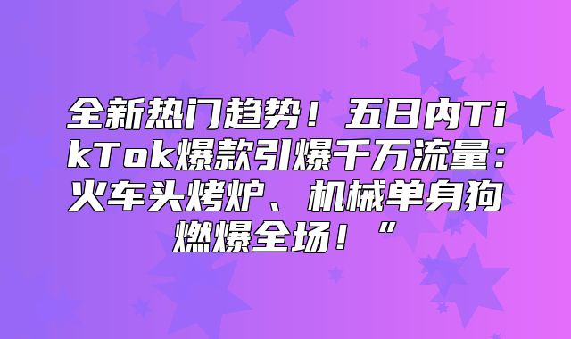 全新热门趋势！五日内TikTok爆款引爆千万流量：火车头烤炉、机械单身狗燃爆全场！”