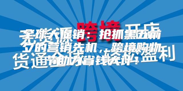 全球大促销：抢抓黑五前夕的营销先机，跨境购物节助力省钱大计！