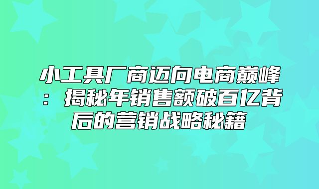 小工具厂商迈向电商巅峰：揭秘年销售额破百亿背后的营销战略秘籍