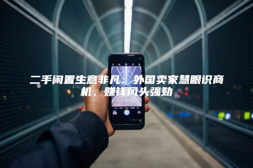 二手闲置生意非凡：外国卖家慧眼识商机，赚钱风头强劲