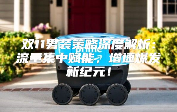 双11男装策略深度解析：流量集中赋能，增速爆发新纪元！