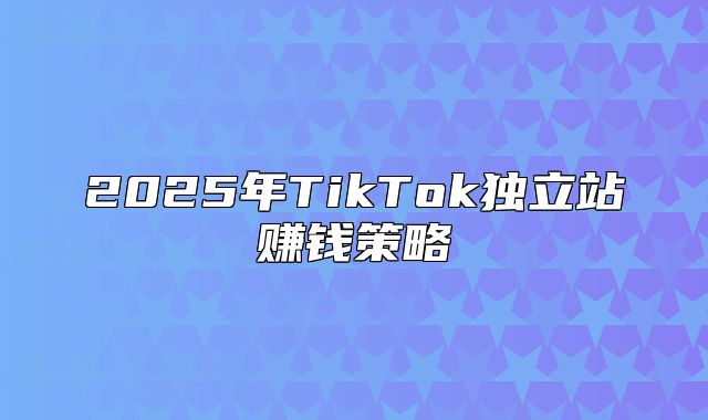 2025年TikTok独立站赚钱策略