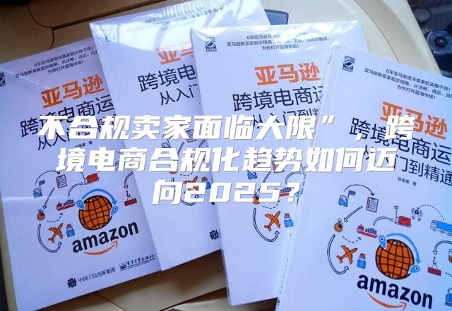 不合规卖家面临大限”，跨境电商合规化趋势如何迈向2025？