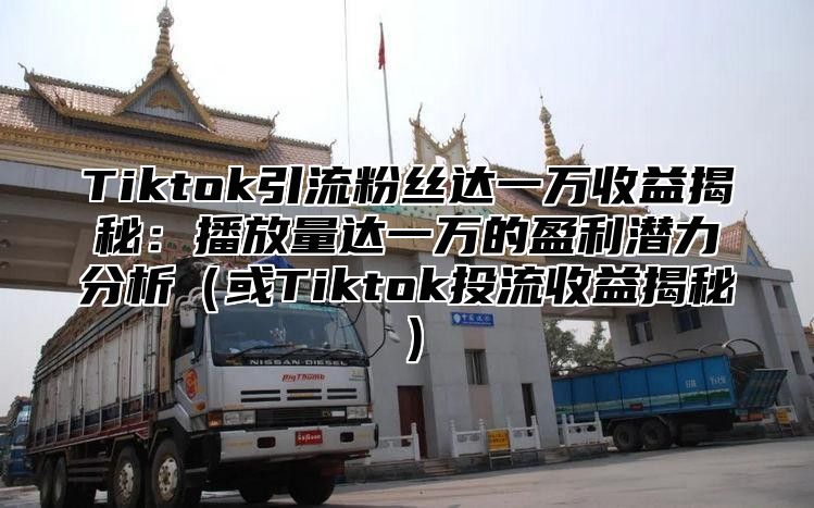 Tiktok引流粉丝达一万收益揭秘：播放量达一万的盈利潜力分析或Tiktok投流收益揭秘