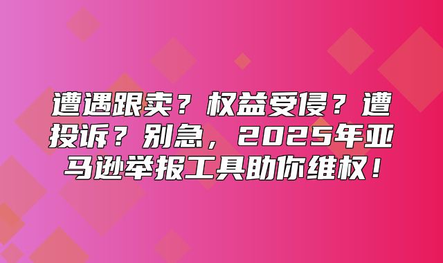 遭遇跟卖？权益受侵？遭投诉？别急，2025年亚马逊举报工具助你维权！