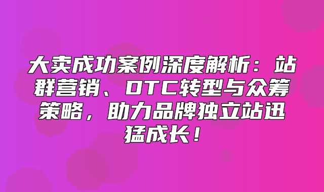 大卖成功案例深度解析：站群营销、DTC转型与众筹策略，助力品牌独立站迅猛成长！