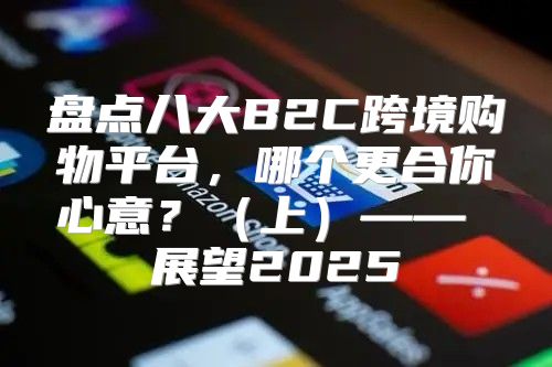 盘点八大B2C跨境购物平台，哪个更合你心意？上—— 展望2025