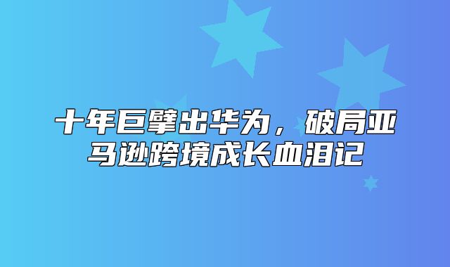 十年巨擘出华为，破局亚马逊跨境成长血泪记
