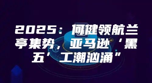 2025何健领航兰亭集势，亚马逊‘黑五’工潮汹涌”