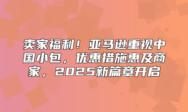 卖家福利！亚马逊重视中国小包，优惠措施惠及商家，2025新篇章开启