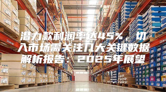 潜力款利润率达45%，切入市场需关注几大关键数据解析报告：2025年展望