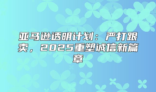 亚马逊透明计划：严打跟卖，2025重塑诚信新篇章