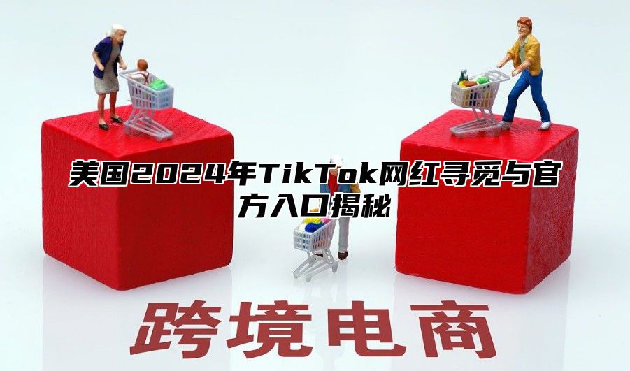 美国2025年TikTok网红寻觅与官方入口揭秘