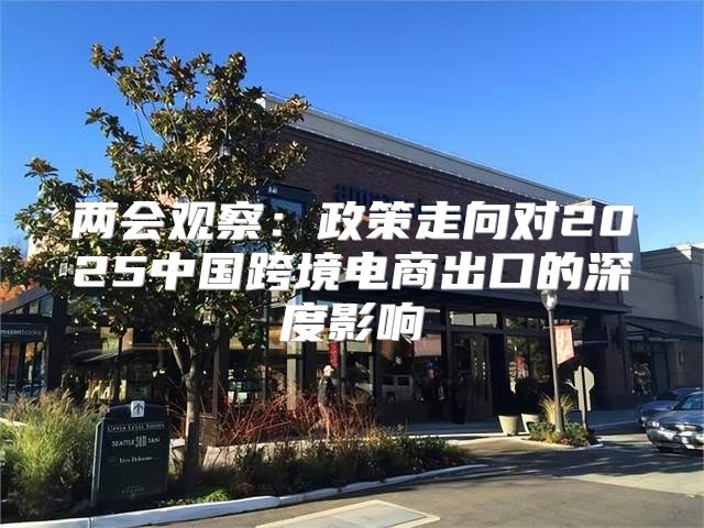 两会观察：政策走向对2025中国跨境电商出口的深度影响