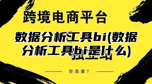 数据分析工具bi(数据分析工具bi是什么)