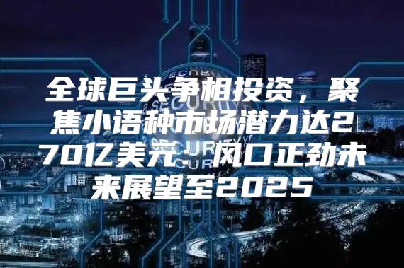 全球巨头争相投资，聚焦小语种市场潜力达270亿美元：风口正劲未来展望至2025