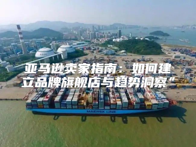 亚马逊卖家指南：如何建立品牌旗舰店与趋势洞察”