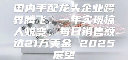 国内手配龙头企业跨界腾飞，一年实现惊人蜕变，每日销售额达21万美金 2025展望