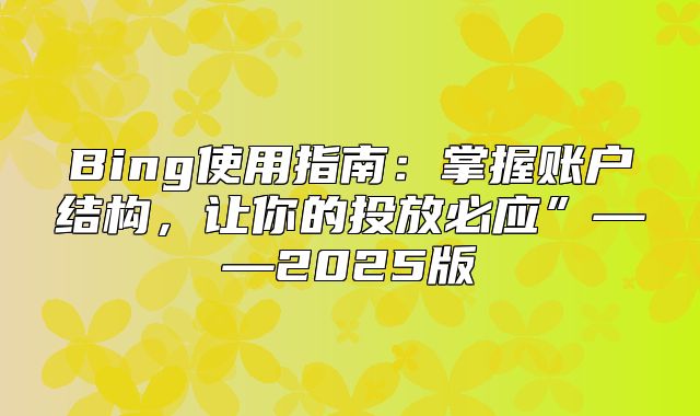 Bing使用指南：掌握账户结构，让你的投放必应”——2025版