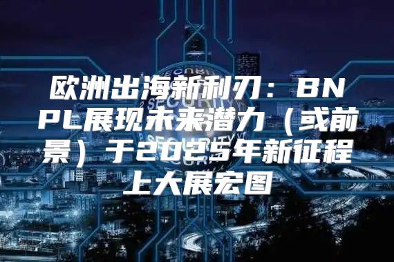 欧洲出海新利刃：BNPL展现未来潜力或前景于2025年新征程上大展宏图