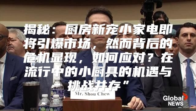 揭秘：厨房新宠小家电即将引爆市场，然而背后的危机显现，如何应对？在流行中的小厨具的机遇与挑战并存”