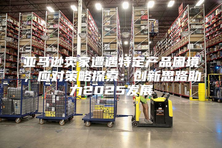 亚马逊卖家遭遇特定产品困境，应对策略探索：创新思路助力2025发展