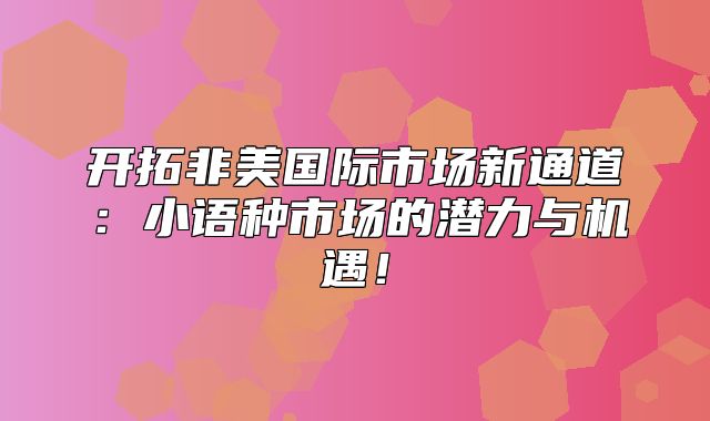 开拓非美国际市场新通道：小语种市场的潜力与机遇！
