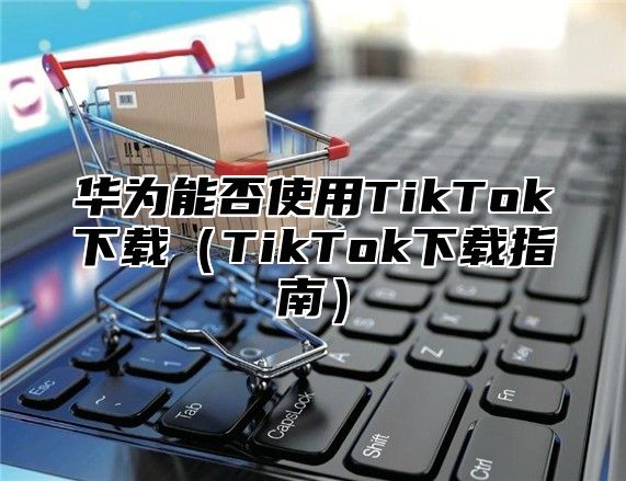 华为能否使用TikTok下载TikTok下载指南