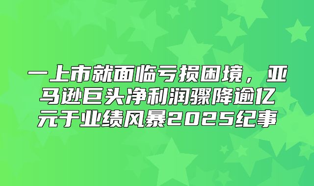 一上市就面临亏损困境，亚马逊巨头净利润骤降逾亿元于业绩风暴2025纪事