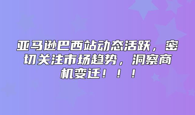 亚马逊巴西站动态活跃，密切关注市场趋势，洞察商机变迁！！！