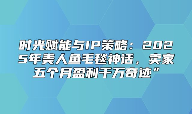 时光赋能与IP策略：2025年美人鱼毛毯神话，卖家五个月盈利千万奇迹”