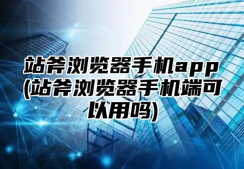 站斧浏览器手机app(站斧浏览器手机端可以用吗)