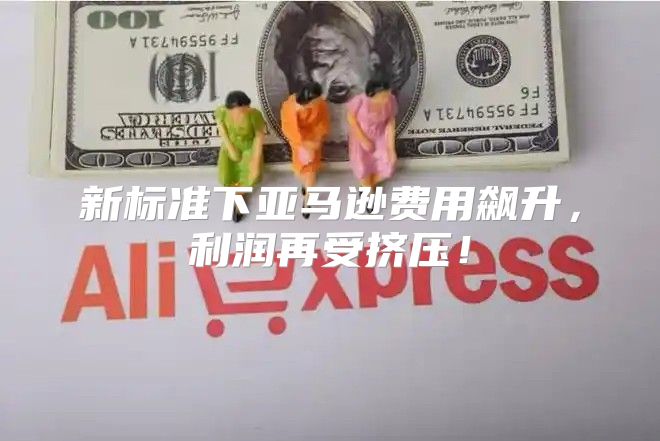 新标准下亚马逊费用飙升，利润再受挤压！