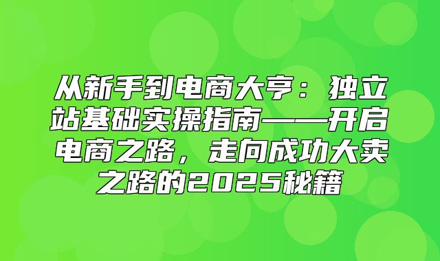 从新手到电商大亨：独立站基础实操指南——开启电商之路，走向成功大卖之路的2025秘籍