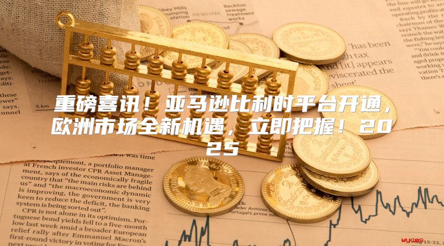 重磅喜讯！亚马逊比利时平台开通，欧洲市场全新机遇，立即把握！2025