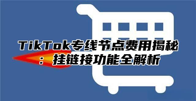 TikTok专线节点费用揭秘：挂链接功能全解析