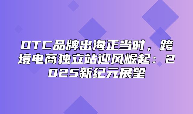 DTC品牌出海正当时，跨境电商独立站迎风崛起：2025新纪元展望