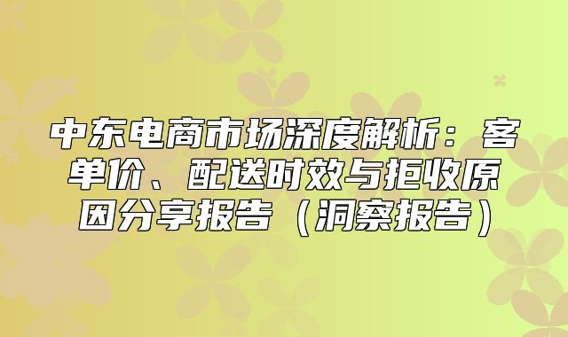 中东电商市场深度解析：客单价、配送时效与拒收原因分享报告洞察报告