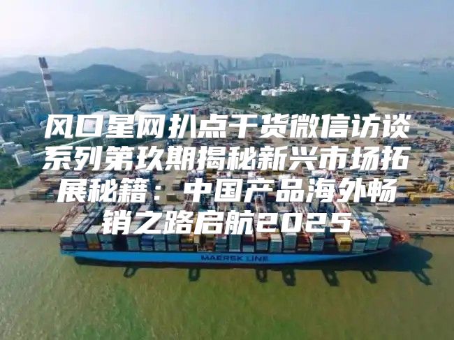 风口星网扒点干货微信访谈系列第玖期揭秘新兴市场拓展秘籍：中国产品海外畅销之路启航2025
