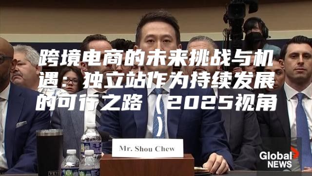 跨境电商的未来挑战与机遇：独立站作为持续发展的可行之路2025视角