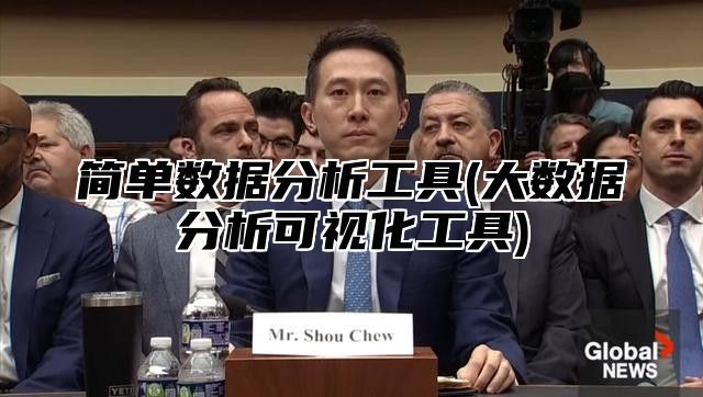 简单数据分析工具(大数据分析可视化工具)