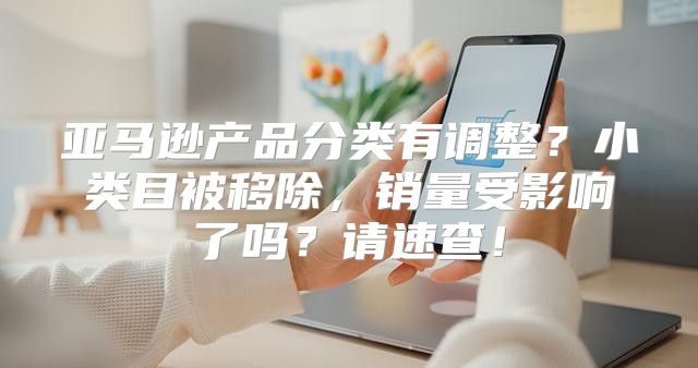 亚马逊产品分类有调整？小类目被移除，销量受影响了吗？请速查！